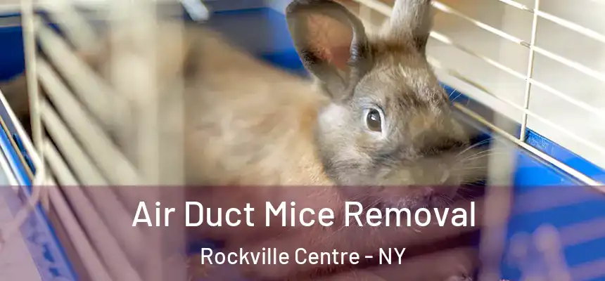  Air Duct Mice Removal Rockville Centre - NY