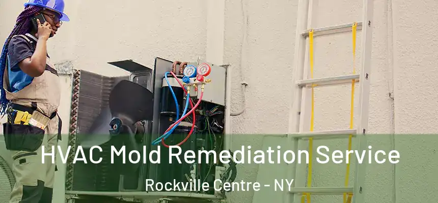 HVAC Mold Remediation Service Rockville Centre - NY
