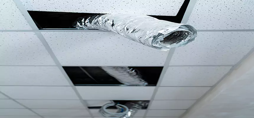 Our Air Duct Pet Hair Removal Services in Rockville Centre, NY