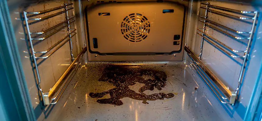 Our Dryer Vent Mold Cleaning Services in Rockville Centre, NY