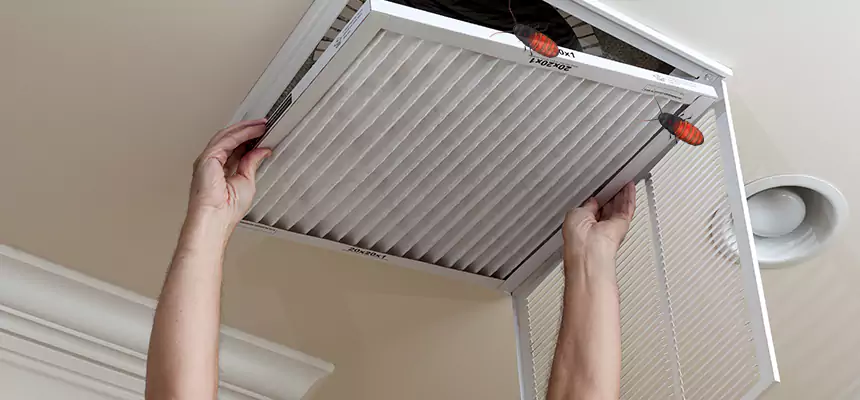 Our Insect Removal from Air Ducts Services in Rockville Centre, NY