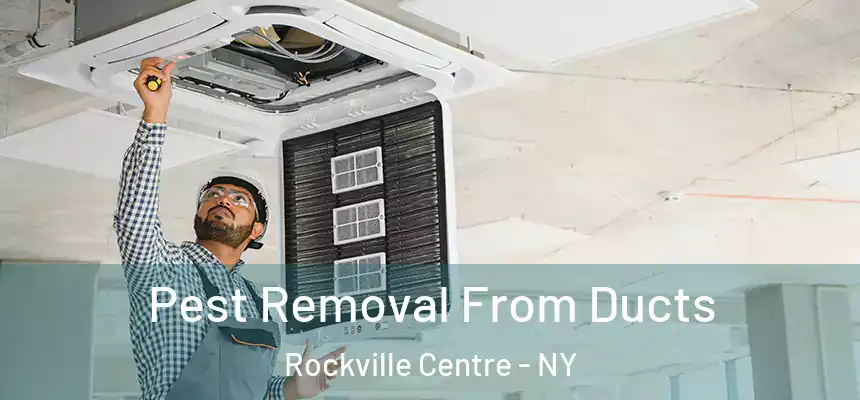  Pest Removal From Ducts Rockville Centre - NY