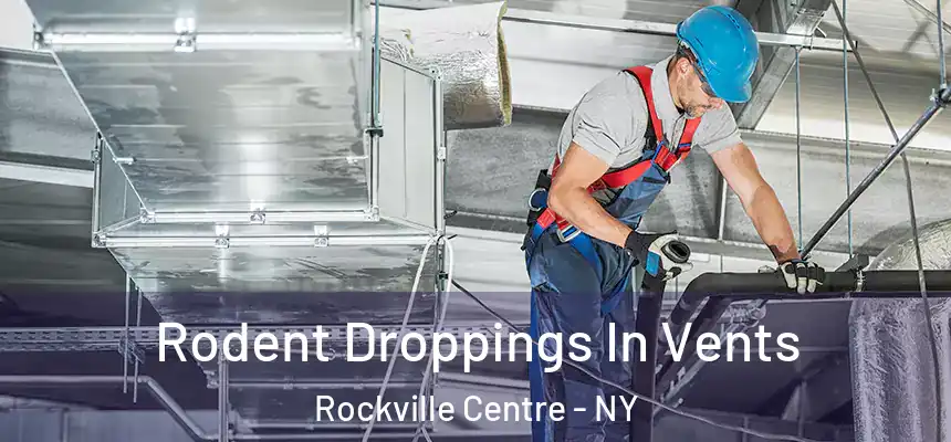  Rodent Droppings In Vents Rockville Centre - NY