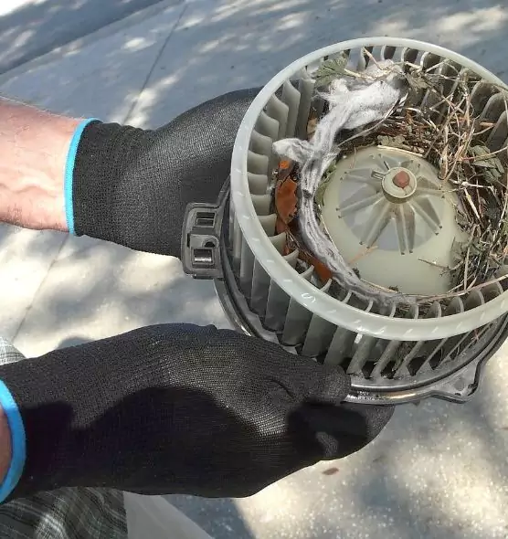 About Air Duct Rat Removal in Rockville Centre, NY