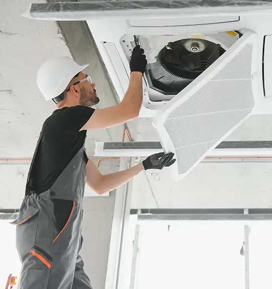 About Air Duct Rodent Removal in Rockville Centre, NY