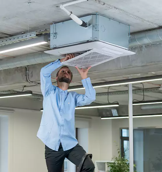 Advanced Rodent Droppings In Vents in Rockville Centre, NY